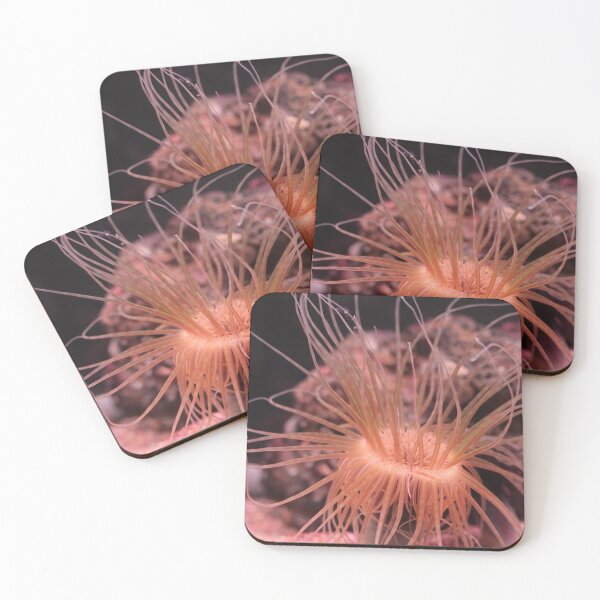 Item preview, Sea anemone photo with high resolution quality designed and sold by Allyouneed-2.