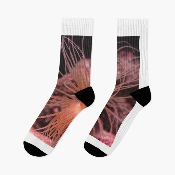 Item preview, Sea anemone photo with high resolution quality designed and sold by Allyouneed-2.