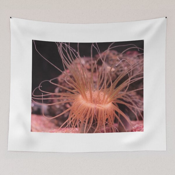 Item preview, Sea anemone photo with high resolution quality designed and sold by Allyouneed-2.