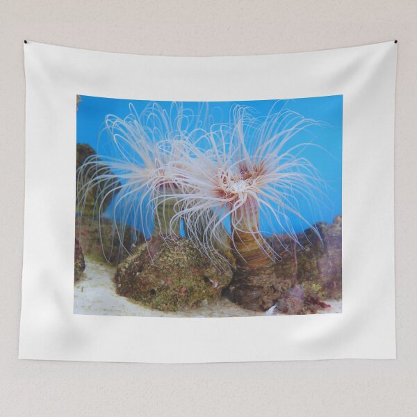 Item preview,  Sea anemone photo with high resolution quality designed and sold by Allyouneed-2.