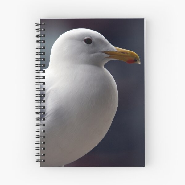 Item preview, Gull designed and sold by RichImage.