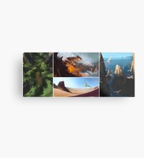 Pokemon Speedpaints Metal Print