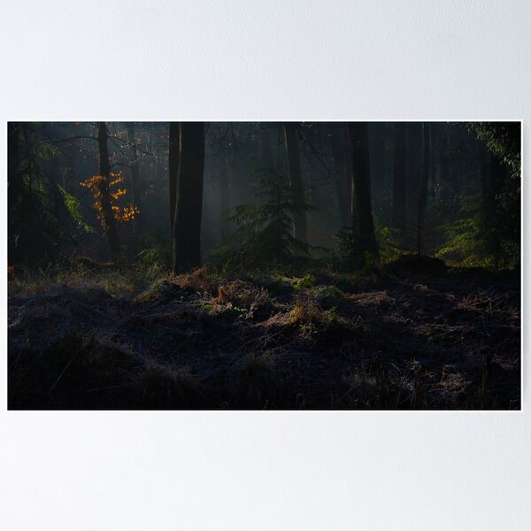 Item preview, Shadows in the woods designed and sold by hugobraun.
