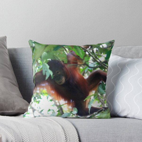 Item preview, Orangutan designed and sold by David McGilchrist.