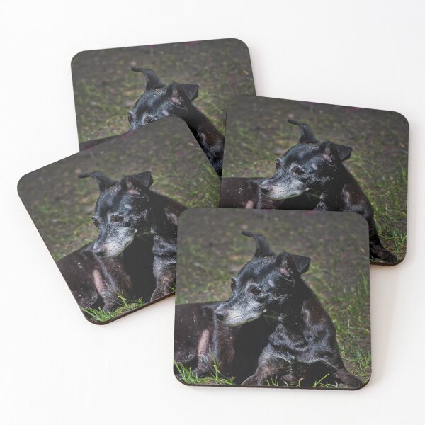 Item preview, Esta es nuestra negrita designed and sold by alabca.