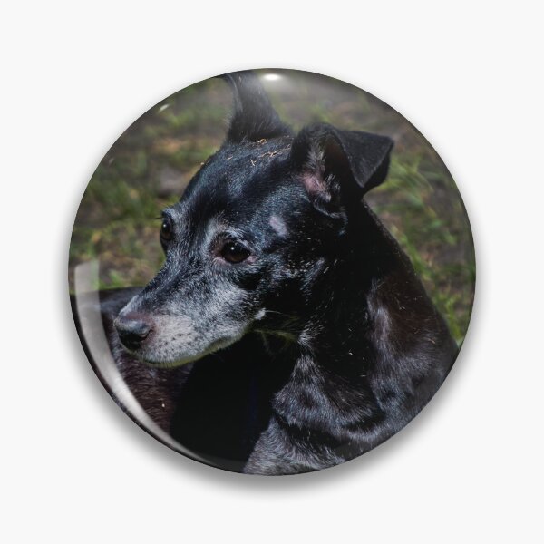 Item preview, Esta es nuestra negrita designed and sold by alabca.