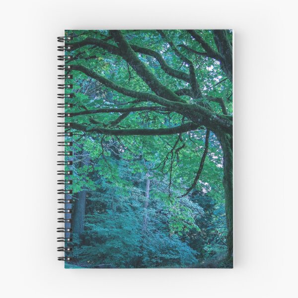 Item preview, Forest at Dusk designed and sold by Marie  Cardona.