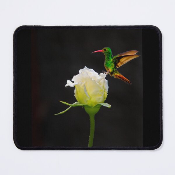 Item preview, A White Rosebud Visited By Tom Thumb designed and sold by alabca.