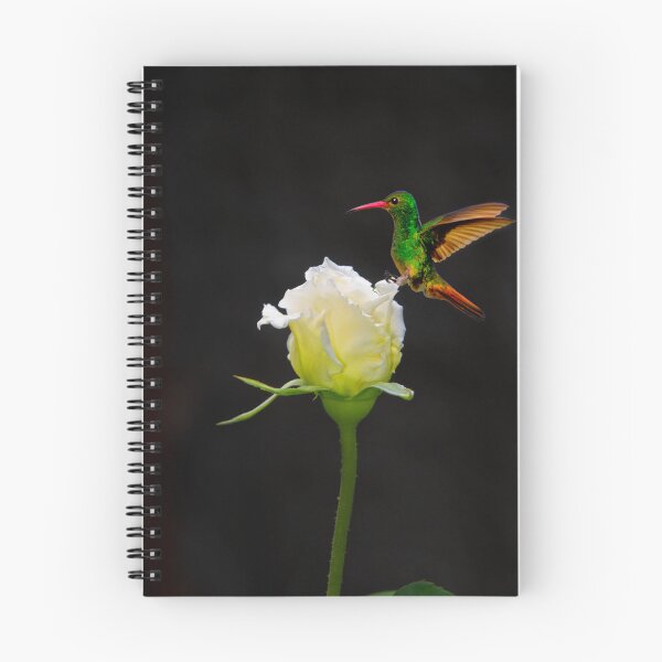 Item preview, A White Rosebud Visited By Tom Thumb designed and sold by alabca.