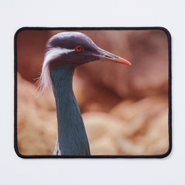 Item preview, Demoiselle Crane designed and sold by Olek-Impek.