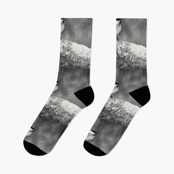 Item preview, Standing in the snow. Willow tit bw designed and sold by Jouko Lehto Photography.