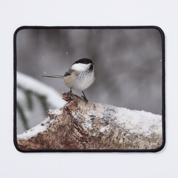 Item preview, Standing in the snow. Willow tit designed and sold by Jouko Lehto Photography.