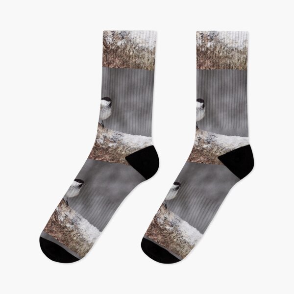 Item preview, Standing in the snow. Willow tit designed and sold by Jouko Lehto Photography.