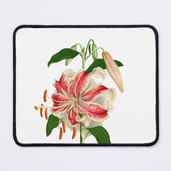 Item preview, Speckled Lily // Lilium designed and sold by Adidit.
