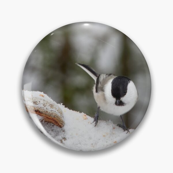 Item preview, Don't mind the snow but the wind. Willow tit designed and sold by Jouko Lehto Photography.