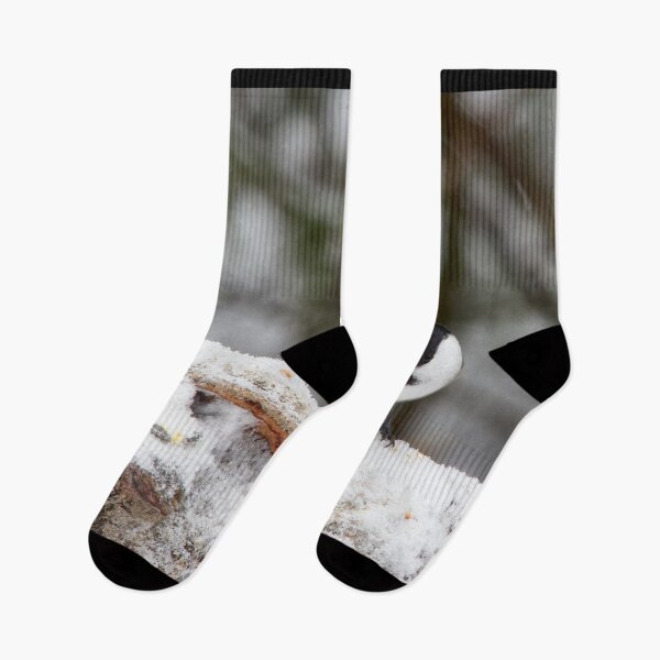 Item preview, Don't mind the snow but the wind. Willow tit designed and sold by Jouko Lehto Photography.