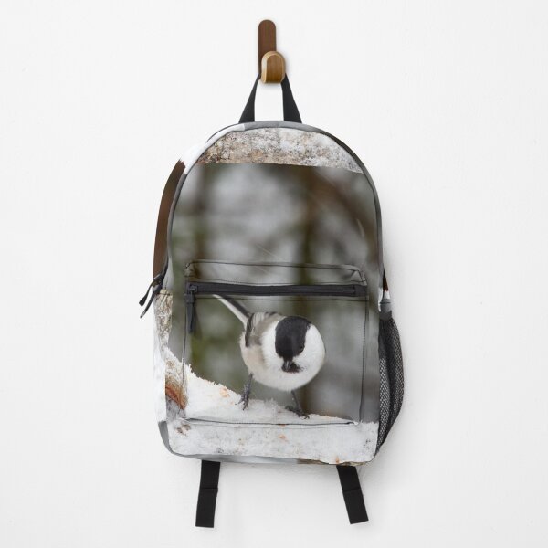 Item preview, Don't mind the snow but the wind. Willow tit designed and sold by Jouko Lehto Photography.