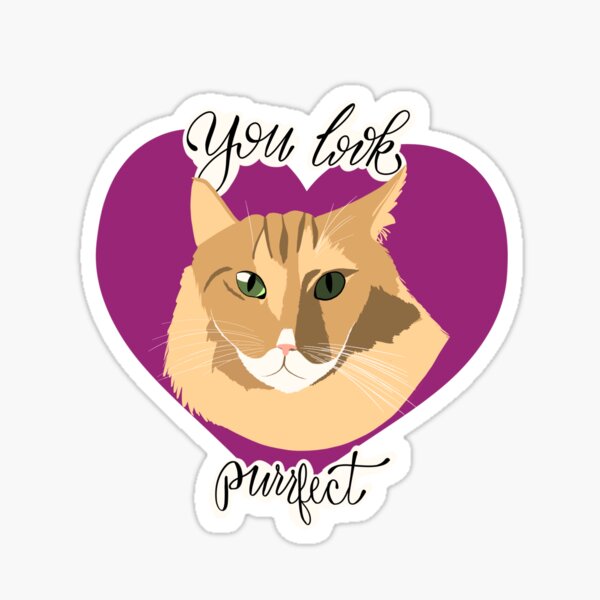 You Look Purrfect Sticker