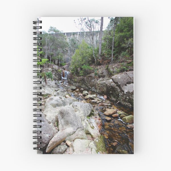 Item preview, Mt Paris Dam: mirando hacia atrás designed and sold by Gaylene Norton.