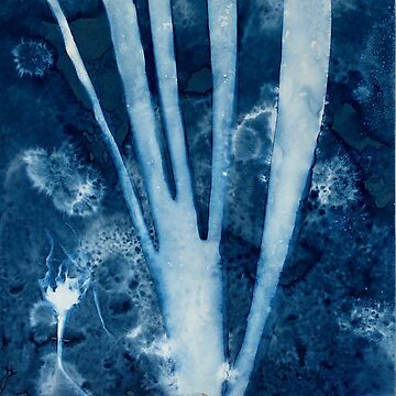 Artwork thumbnail, Cornish Kelp by Lesley Treloar