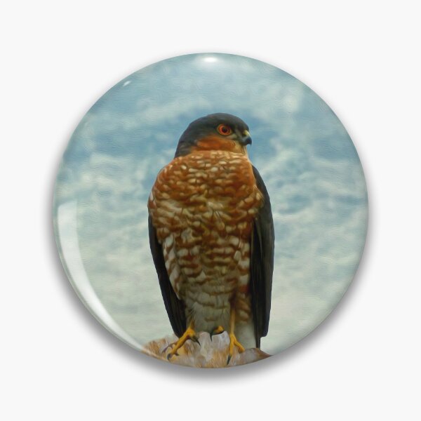 Item preview, Sparrow hawk designed and sold by Guardi71.