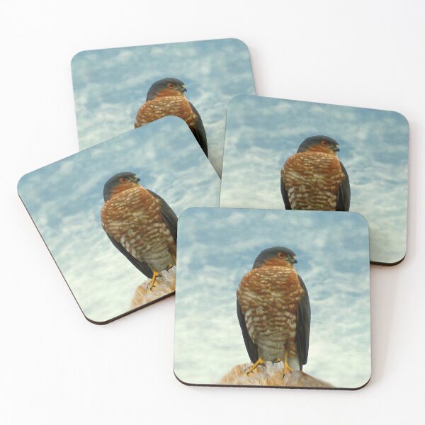 Item preview, Sparrow hawk designed and sold by Guardi71.