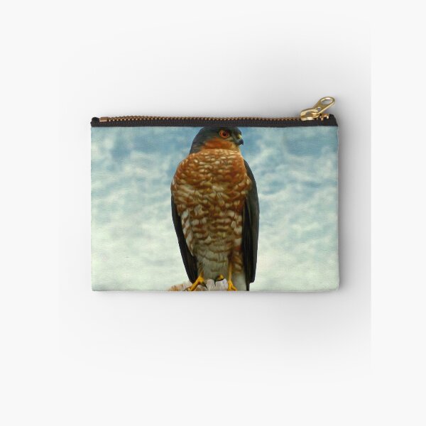 Item preview, Sparrow hawk designed and sold by Guardi71.