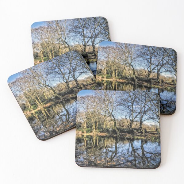 Item preview, View of the Stumps Hill 'ancient' pond, in Beckenham Place Park designed and sold by JohnGaffen.