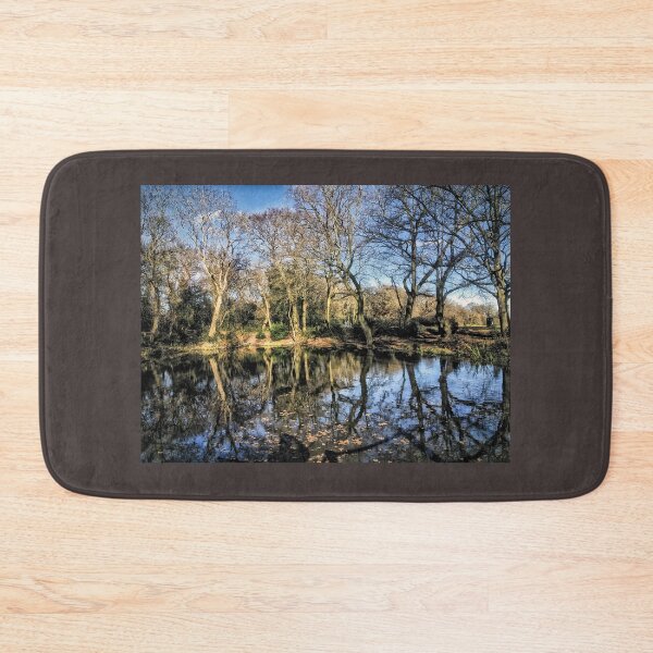 Item preview, View of the Stumps Hill 'ancient' pond, in Beckenham Place Park designed and sold by JohnGaffen.