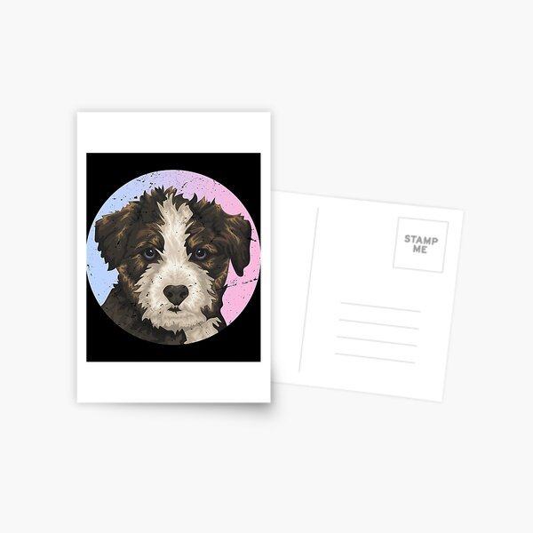 Vintage Huskydoodle Lover, Funny Huskydoodle Siberian Bumper Retro Gifts Postcard