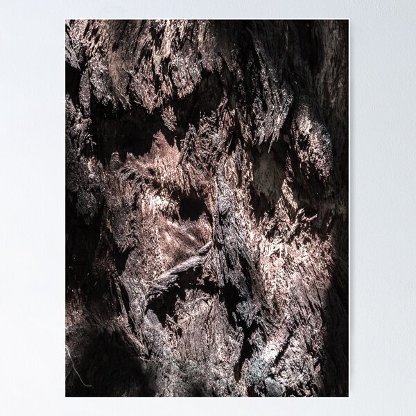 Item preview, wood texture. pareidolia designed and sold by Nino rocha fotografia.