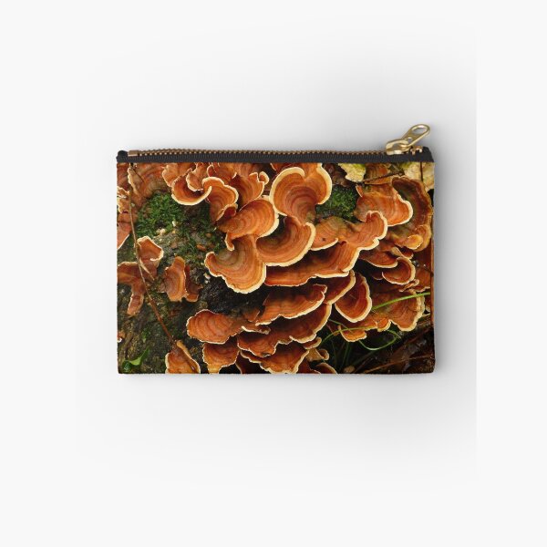 Item preview, Bracket Fungus designed and sold by WildestArt.