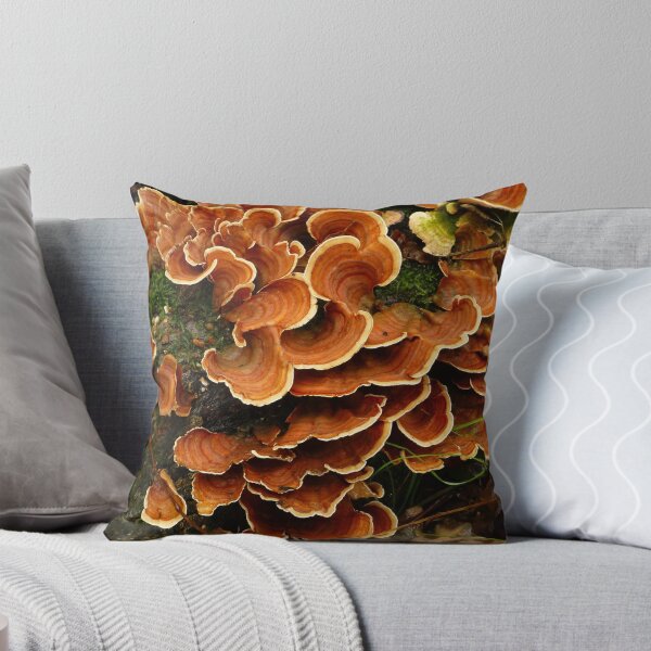 Item preview, Bracket Fungus designed and sold by WildestArt.