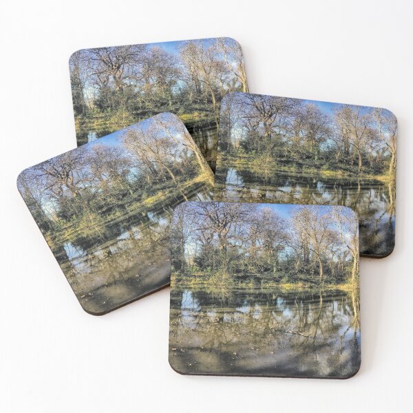 Item preview, Panoramic view of Stumps Hill 'ancient' Pond, Beckenham Place Park designed and sold by JohnGaffen.