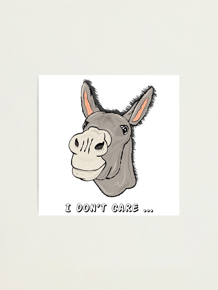 Donkey the smart stubborn zoo animal Donkey the smart stubborn zoo animal