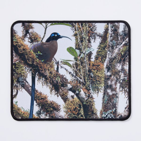 Item preview, Brown Sicklebill designed and sold by kokayart.