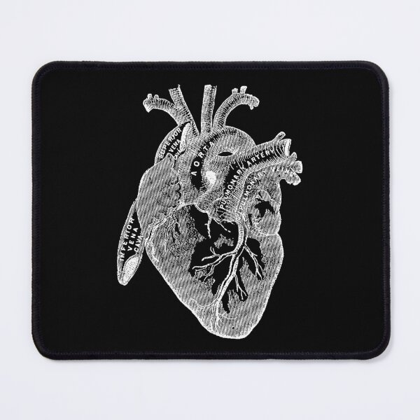 Item preview, Antique Human Anatomy Heart designed and sold by Pixelchicken.