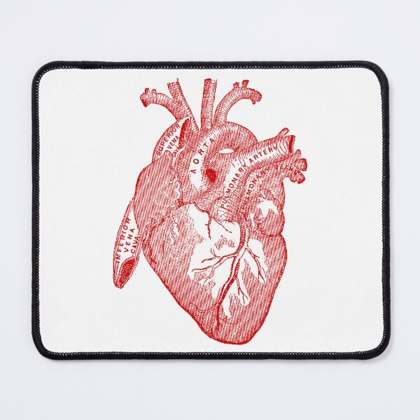 Item preview, Human Anatomy Heart designed and sold by Pixelchicken.