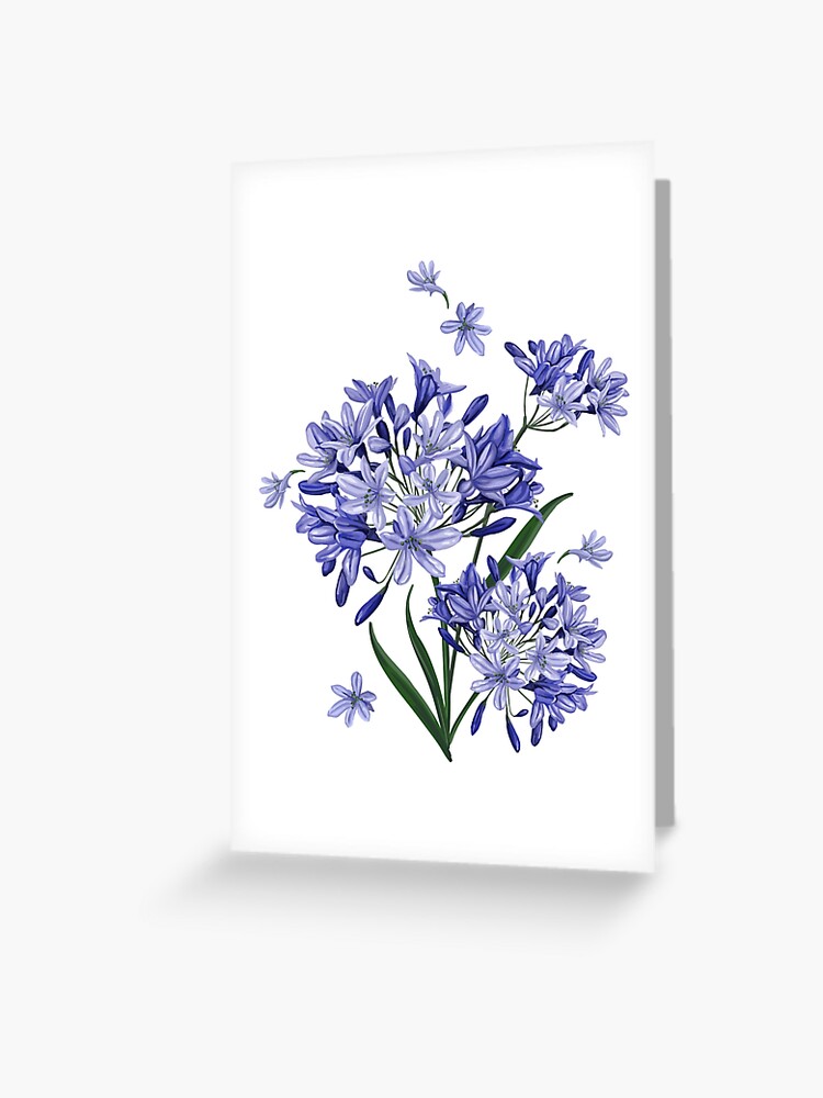 Tarjetas de felicitación «flor de agapanto azul» de Sidouseller | Redbubble