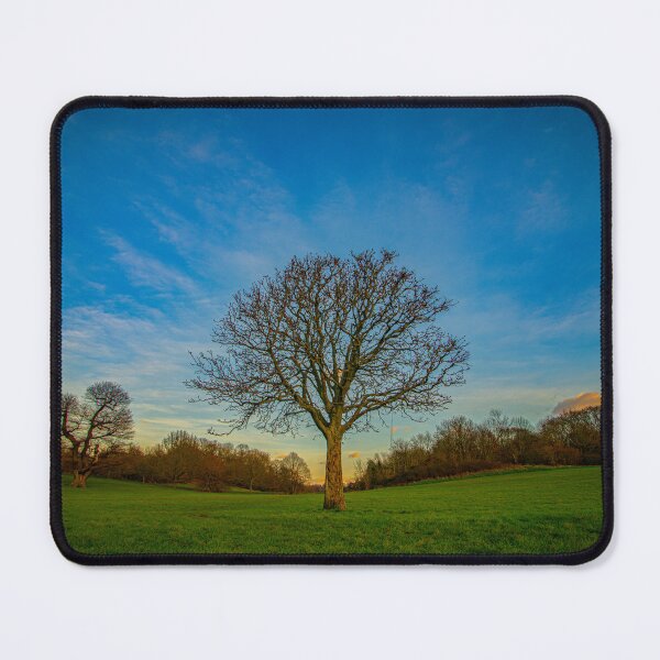 Item preview, Lil Tree designed and sold by Linton Laidley.