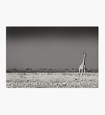 Alone Photographic Print