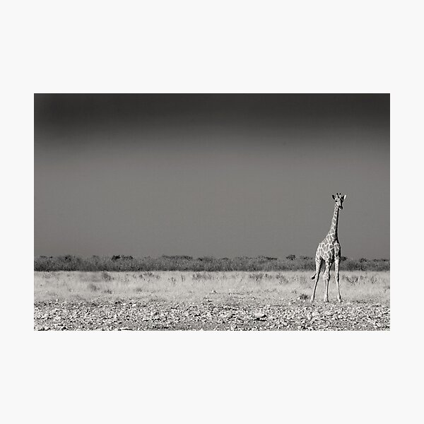 Alone Photographic Print