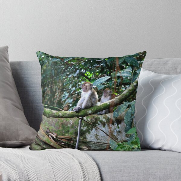 Item preview, Macaque: in contemplation designed and sold by David McGilchrist.
