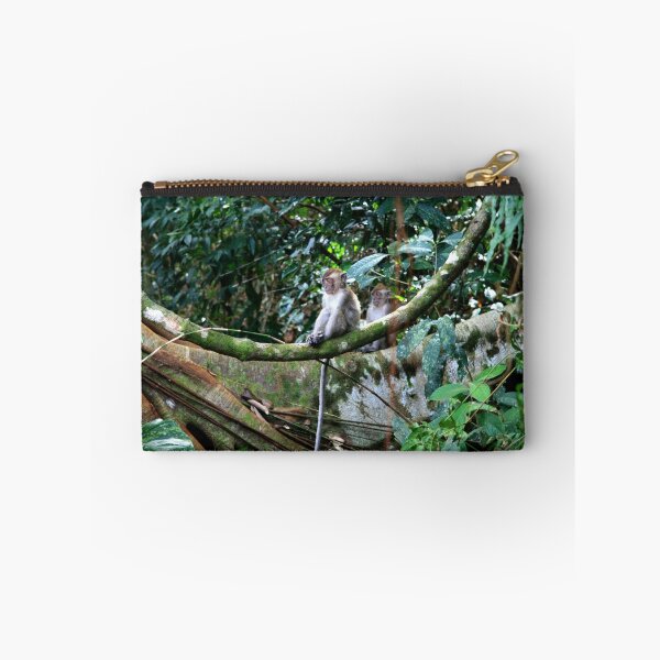 Item preview, Macaque: in contemplation designed and sold by David McGilchrist.