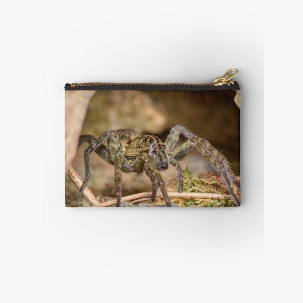 Item preview, Tiger Spider (Tigrosa sp.) designed and sold by spiderdaynight.