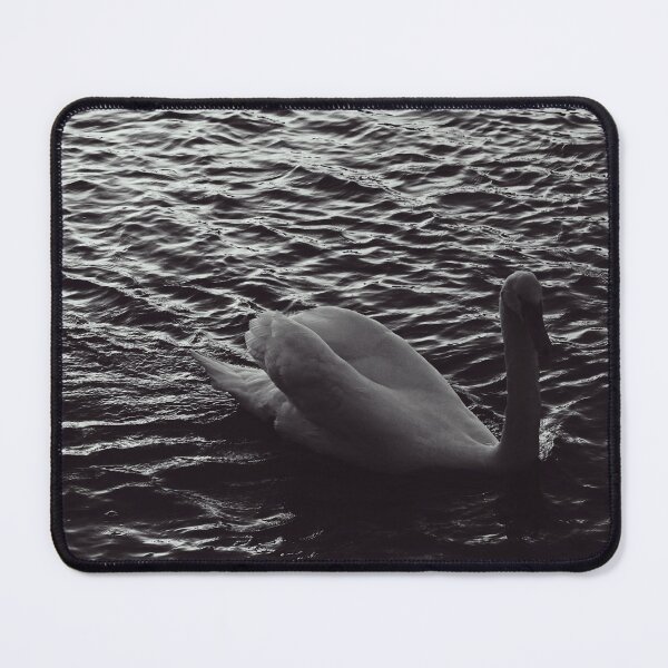 Item preview, Swan swimming in the Rhone river, Lyon, France  designed and sold by CarolinaReina.
