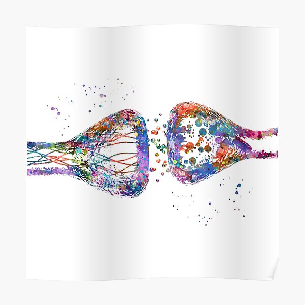 Neuron Synapse Neurotransmitters Poster