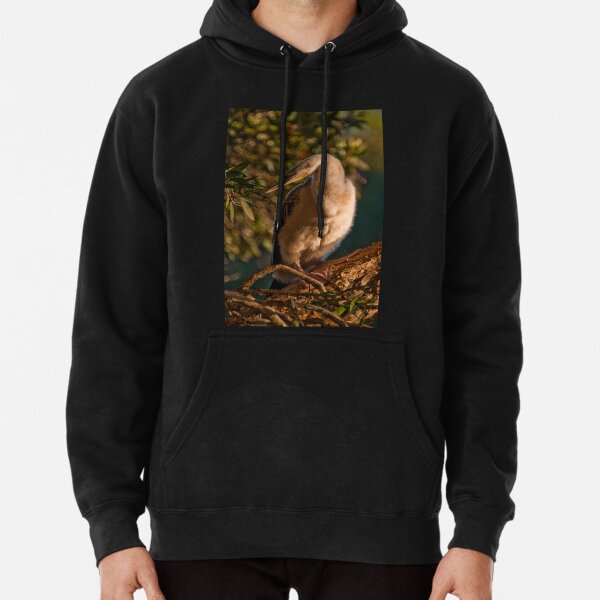 Young Australian Darter Pullover Hoodie