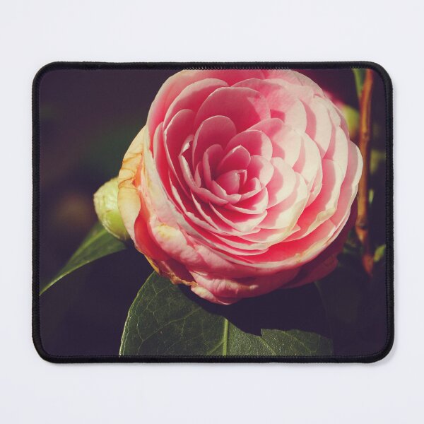 Item preview, Camellia Japonica Pink Rose flower designed and sold by CarolinaReina.