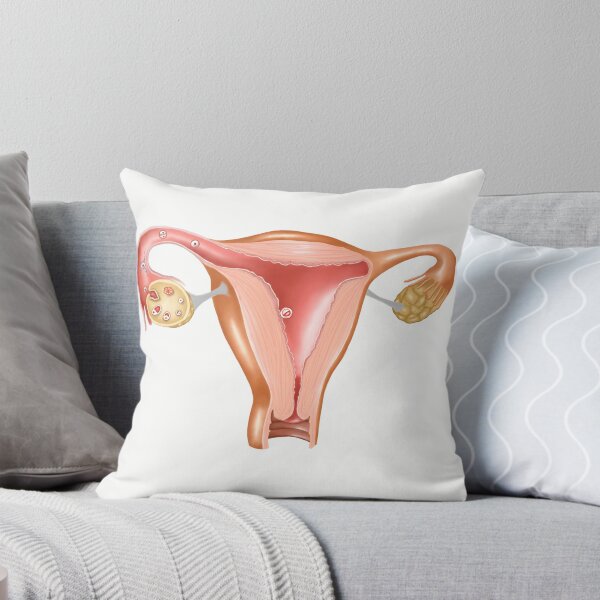 Item preview, Anatomy of female uterus. designed and sold by StocktrekImages.